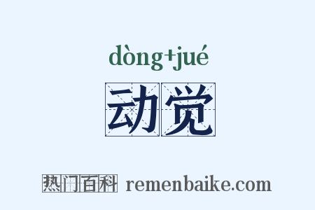 动觉是什么意思的图片